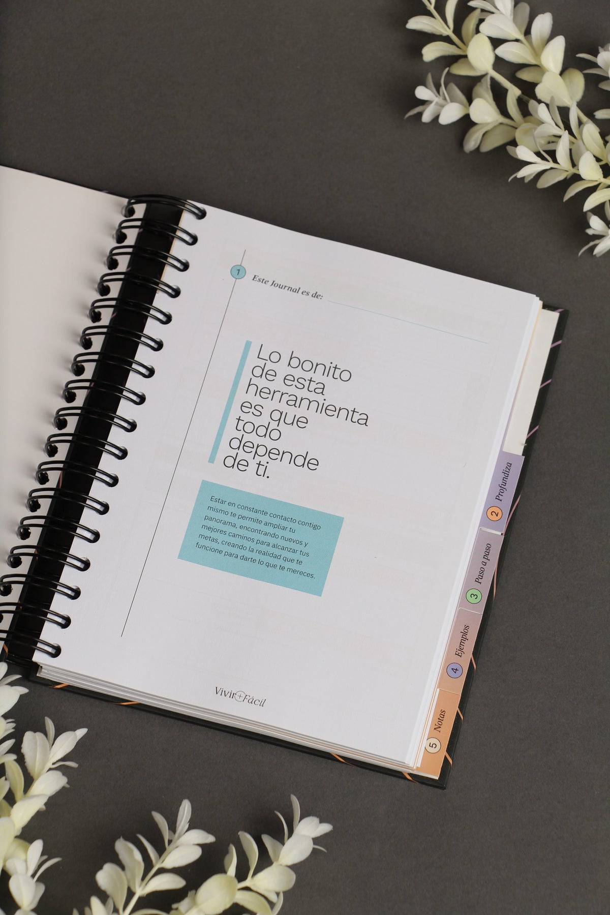 Journal Mi Mejor Versión